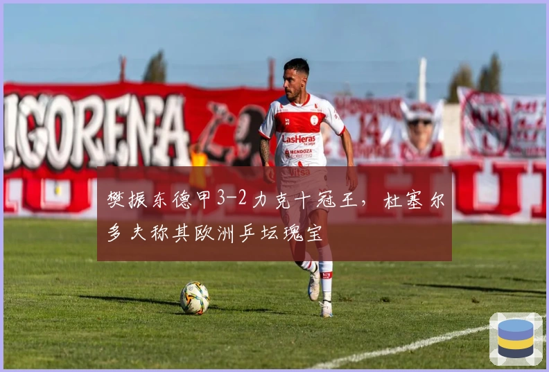 樊振东德甲3-2力克十冠王，杜塞尔多夫称其欧洲乒坛瑰宝