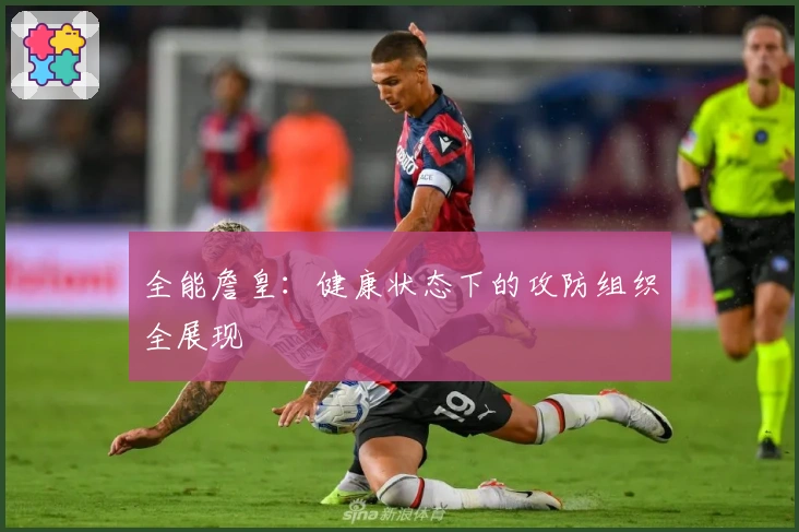 全能詹皇：健康状态下的攻防组织全展现