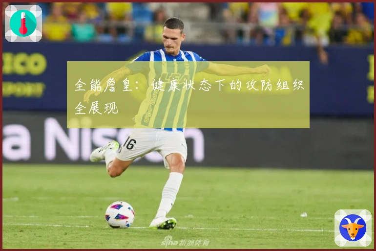 全能詹皇：健康状态下的攻防组织全展现