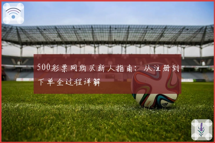 500彩票网购买新人指南:从注册到下单全过程详解