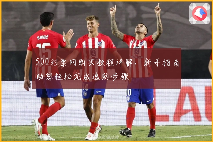 500彩票网购买教程详解，新手指南助您轻松完成选购步骤