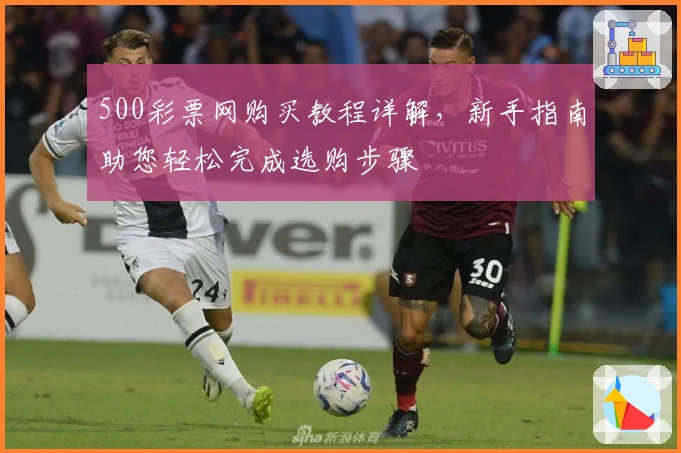500彩票网购买教程详解，新手指南助您轻松完成选购步骤